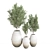 Modern Indoor Plant Set 3D model small image 1