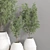 Modern Indoor Plant Set 3D model small image 4