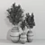 Modern Indoor Plant Set 3D model small image 6