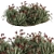 Garden Planting Kit: Bush Edition 3D model small image 1