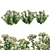 Sedum Lemonjade - Vibrant Succulent for Stylish Spaces 3D model small image 1