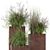 Rustic Metal Pot Plant Set 3D model small image 4