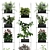 Vertical Garden: 72 Plant Varieties 3D model small image 4