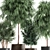 Tropical Plant Collection: Exotic and Stylish 3D model small image 4