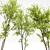 Real Tree Spring: High-Quality 3D Models 3D model small image 2