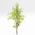 Real Tree Spring: High-Quality 3D Models 3D model small image 5