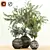 Indoor Plant Trio with Unique Pot 3D model small image 1