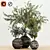 Indoor Plant Trio with Unique Pot 3D model small image 5