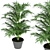 Indoor Palm Collection Vol. 256 3D model small image 4