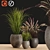 Faux Pampas & Grass Pot Trio 3D model small image 1