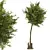 Premium Quality Tree: High-Quality & Optimal 3D model small image 1