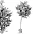 Premium Quality Tree: High-Quality & Optimal 3D model small image 2