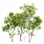Real Tree Summer Accent 3D model small image 1