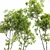 Real Tree Summer Accent 3D model small image 2
