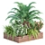 Premium Outdoor Plant Collection 3D model small image 1