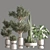 Lush Indoor Plant Set 3D model small image 1