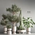 Lush Indoor Plant Set 3D model small image 2
