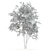 Tall Beech Tree: 16.3m Polys 3D model small image 5