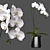 Elegant White Orchid: Pot of Delicate Beauty 3D model small image 1