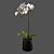 Elegant White Orchid: Pot of Delicate Beauty 3D model small image 3