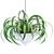 Hanging Plant Collection - Vol. 46 3D model small image 3