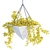 Hanging Plant Collection - Vol. 46 3D model small image 5