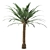 Tropical Paradise Palm Tree 3D model small image 4