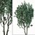 2 Acer Campestre Trees | Field Maple Set 3D model small image 2