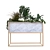 Exclusive Plant Box Set 171 3D model small image 4