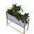 Exclusive Plant Box Set 171 3D model small image 6