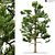  Majestic 2014 Landscape Tree 3D model small image 1