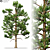  Majestic 2014 Landscape Tree 3D model small image 2