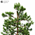  Majestic 2014 Landscape Tree 3D model small image 3