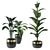 Trendy Black Pot Indoor Plants 3D model small image 1