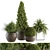 Outdoor Greenery Ensemble: 312 - Plant & Tree Set 3D model small image 1
