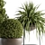 Outdoor Greenery Ensemble: 312 - Plant & Tree Set 3D model small image 3