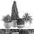 Outdoor Greenery Ensemble: 312 - Plant & Tree Set 3D model small image 4