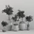 Elegant Indoor Plant Set 3D model small image 6