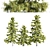 Alaska Cedar Trio: 3 Majestic Trees 3D model small image 1