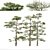 Three Huangshan Pine Trees 3D model small image 1