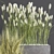 66-Piece Indoor Plant Set 3D model small image 5