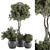 Nature's Oasis: 308-Piece Outdoor Plant Set 3D model small image 1