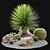 Australian Garden Set: Yucca, Cactus, Agave & Rocks 3D model small image 1