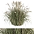 Pampas Bush Set - Perfect for Landscaping 3D model small image 1