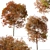 American Sweet Gum Tree Set (2 Trees) 3D model small image 4