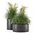 Rustic Concrete Pot with Outdoor Bush 3D model small image 6