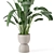 Rustic Concrete Pot Set with Indoor Plants 3D model small image 3