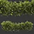 Premium Bush Plant 3D model small image 1