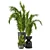 Greenery in Bau Pot: Set 105 3D model small image 4