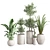 Indoor Greenery Collection 3D model small image 1